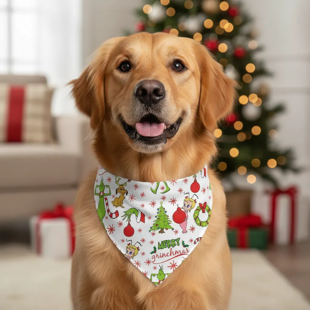 Family Christmas White Pajamas Set With Cute Christmas Character Print