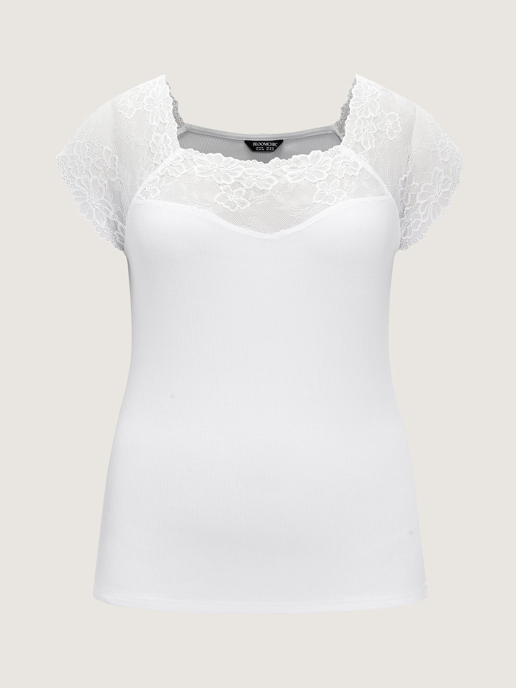 Sheer Lace Neckline Plain Knit Top