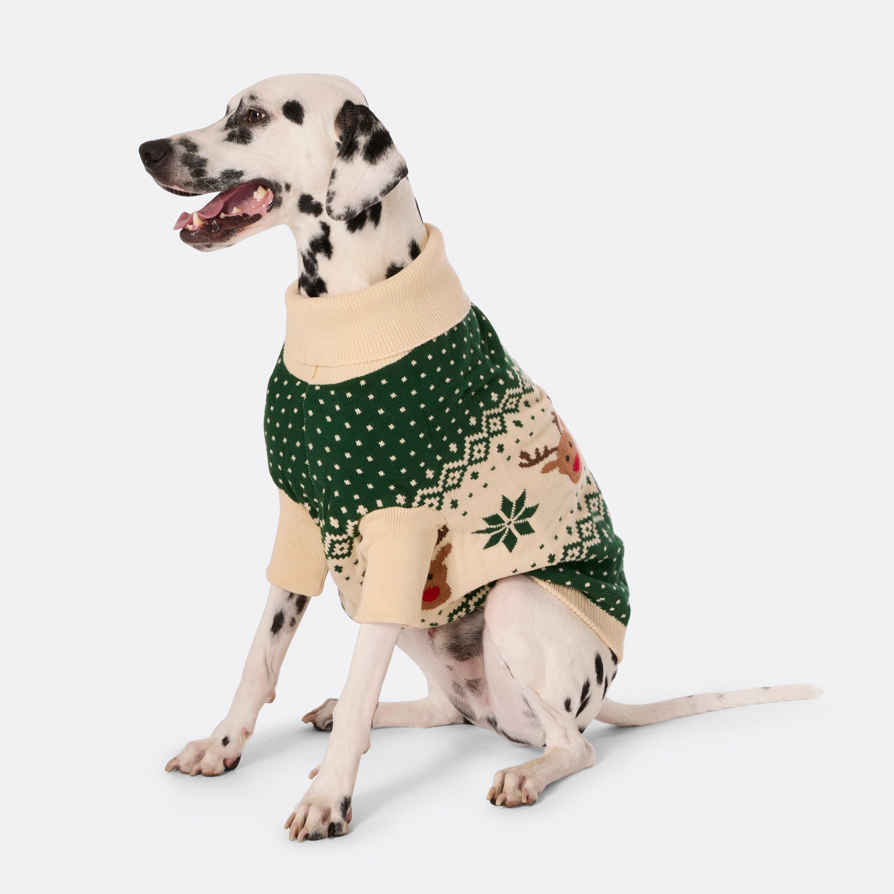 Dogs' Green Retro Reindeer Christmas Jumper