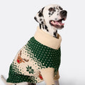Dogs' Green Retro Reindeer Christmas Jumper