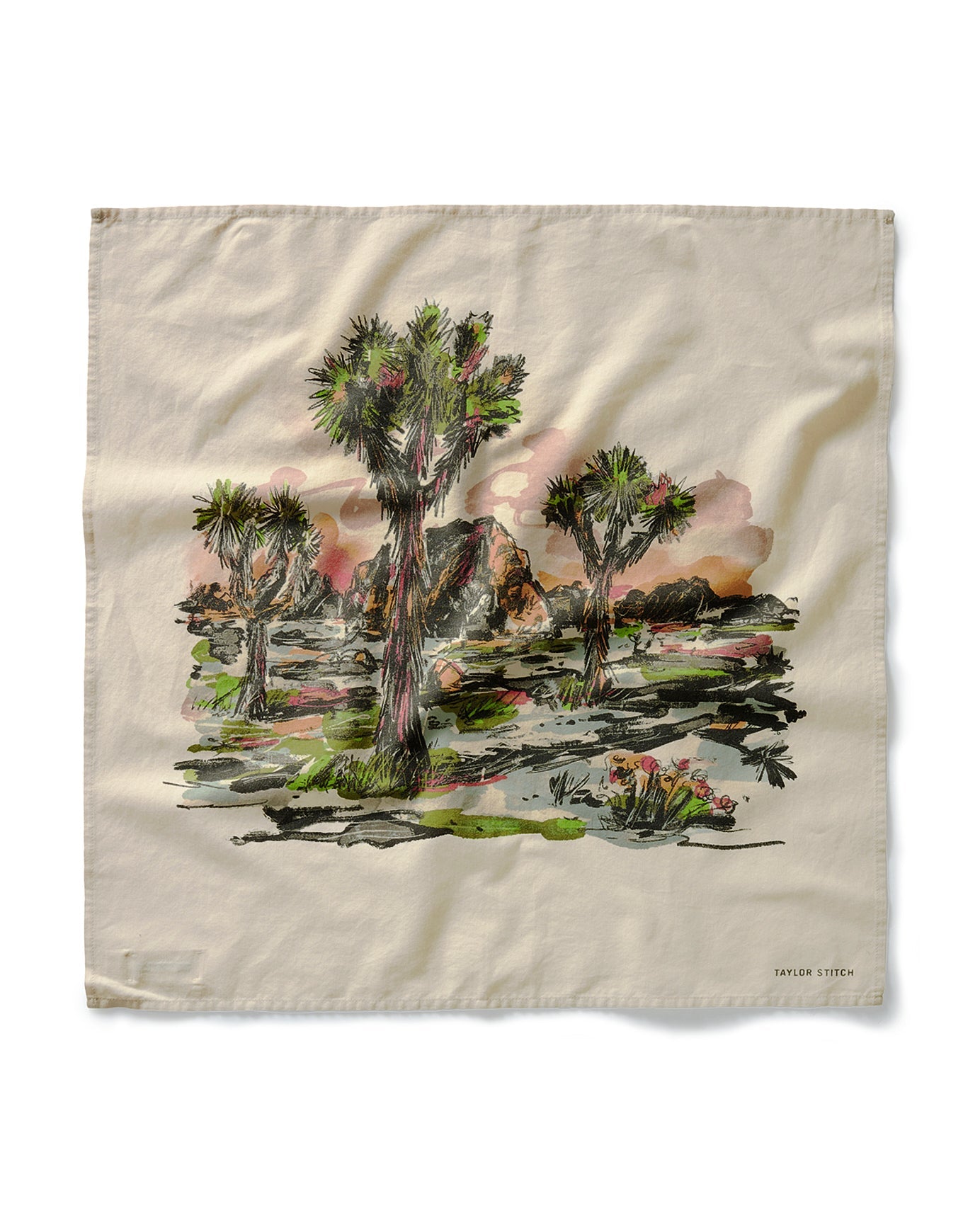 The Bandana in Desert Sunset