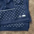 The Bandana in Heritage Blue