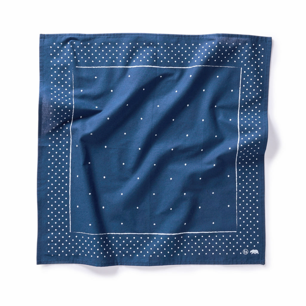 The Bandana in Heritage Blue