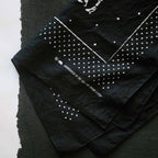 The Bandana in Wherever The Road Takes You