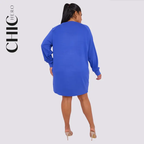 Plus Size Long-Sleeved Straight Dress